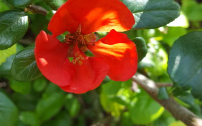 Dieu est à l&rsquo;œuvre en cet âge