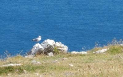 Vers la réconciliation