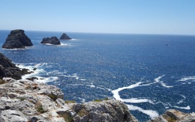 Faire naître l&rsquo;Espérance