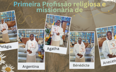 Primeira Profissão